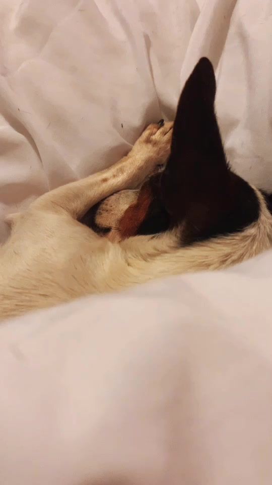 TikTok video thumbnail by trynafindkaizer