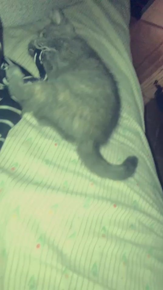 TikTok video thumbnail by user8832824628774