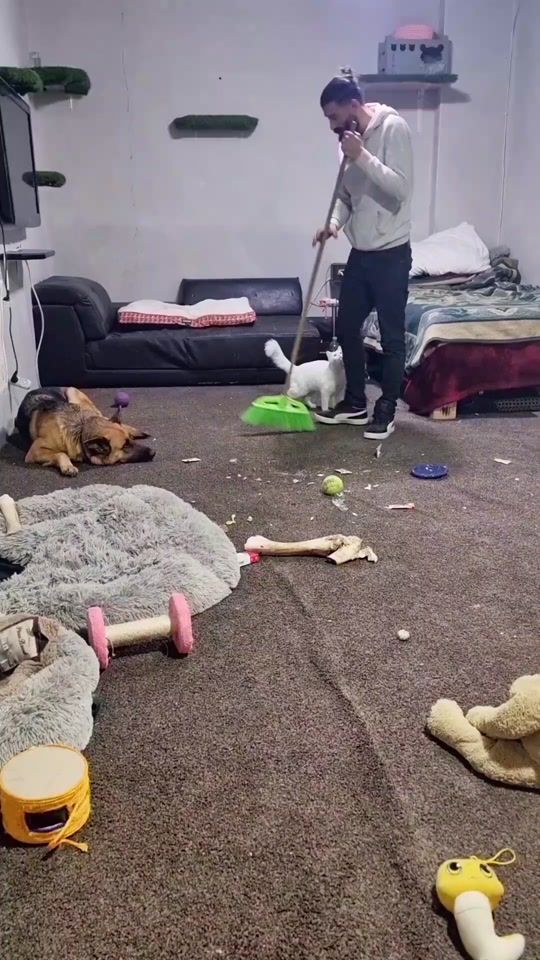 TikTok video thumbnail by lucymunther2