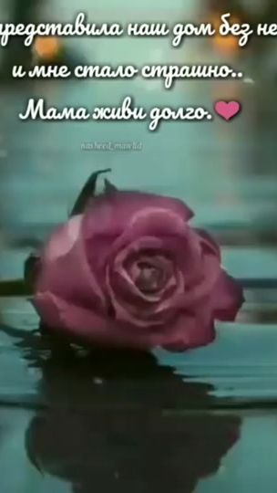 TikTok video thumbnail by user625206195