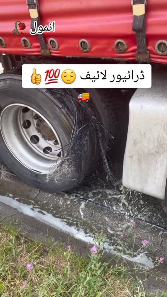 TikTok video thumbnail by anmol2174