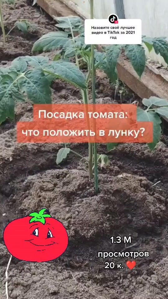 TikTok video thumbnail by pro.tzvetok