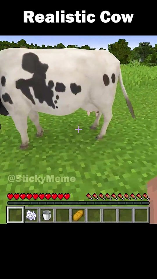 TikTok video thumbnail by stickymeme