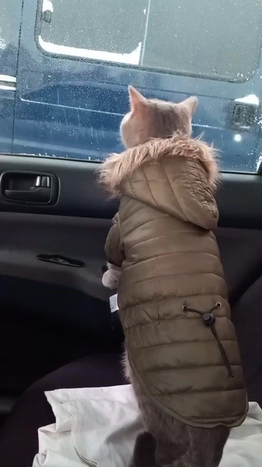TikTok video thumbnail by kot4695