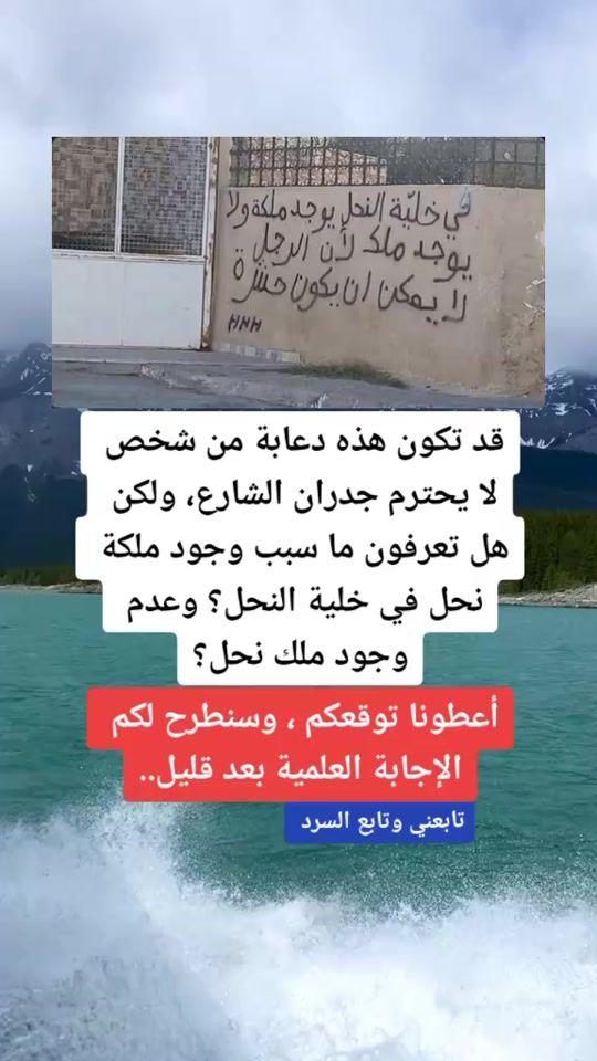 TikTok video thumbnail by klm3at