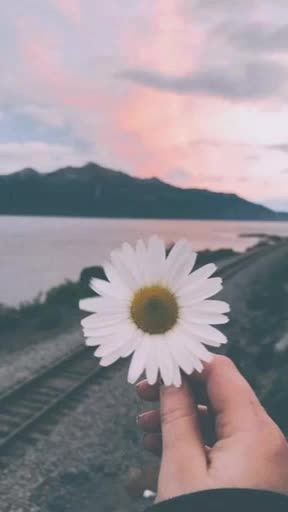 TikTok video thumbnail by 09092004hathuy