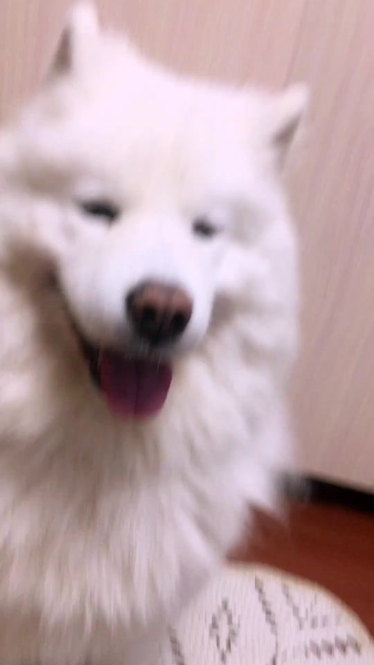 TikTok video thumbnail by marka.mira