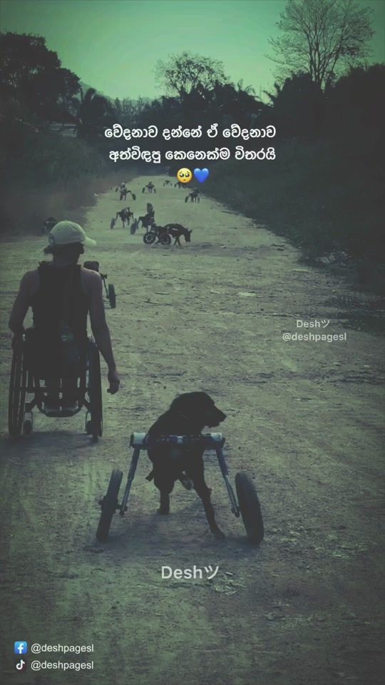 TikTok video thumbnail by deshpagesl