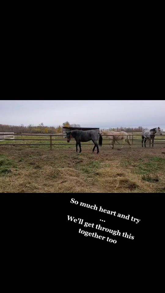 TikTok video thumbnail by vicci334