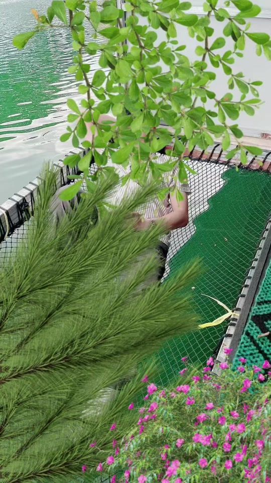 TikTok video thumbnail by soutkhet9955