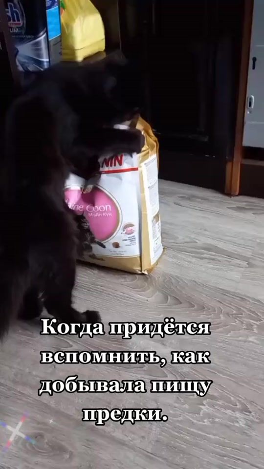 TikTok video thumbnail by kosst1972
