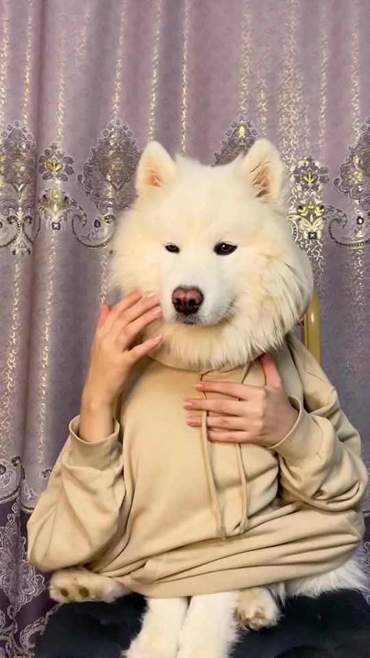 TikTok video thumbnail by marka.mira