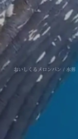 TikTok video thumbnail by mqnmqho