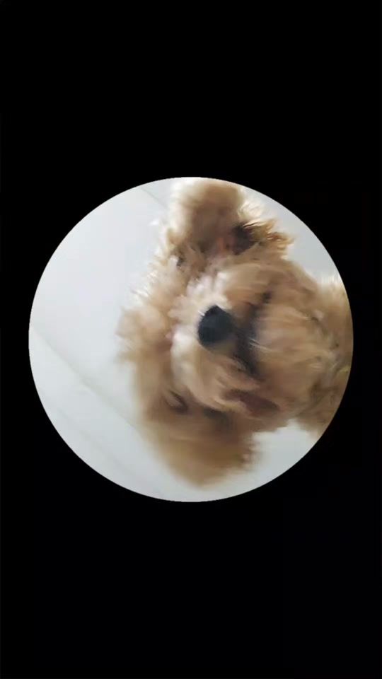 TikTok video thumbnail by vika_123.7