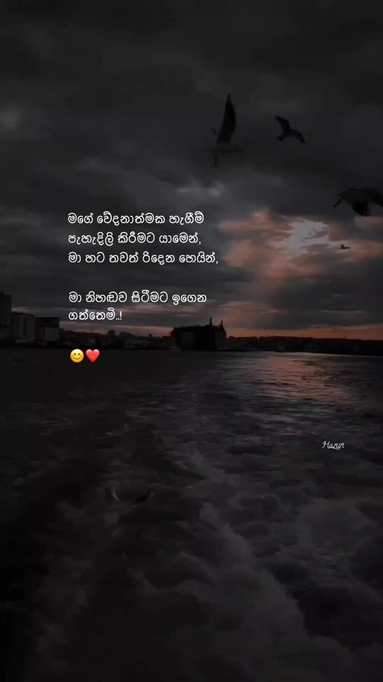 TikTok video thumbnail by korean_flora_