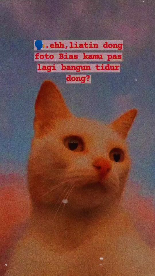 TikTok video thumbnail by ameliaaa753