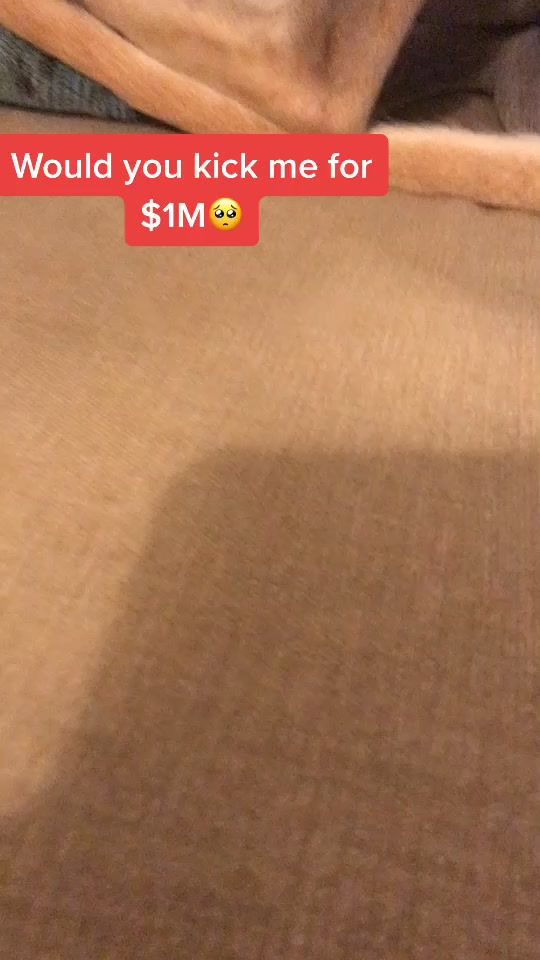 TikTok video thumbnail by alanthewonkydog