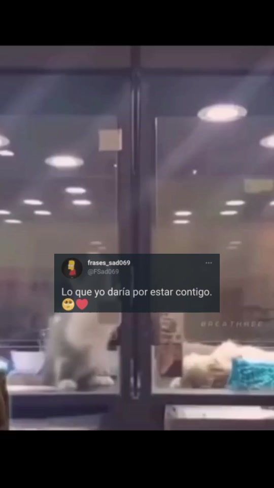 TikTok video thumbnail by jakskdhsjka