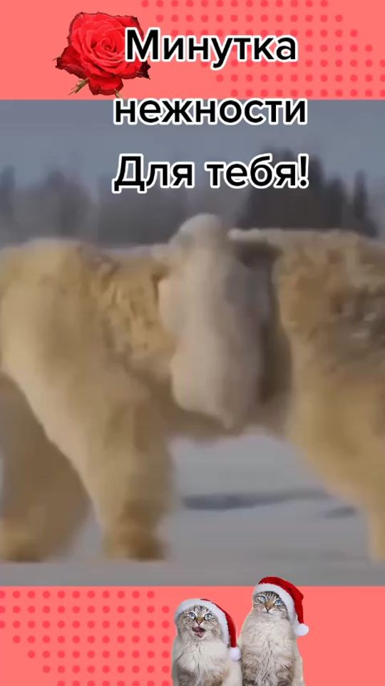 TikTok video thumbnail by ta86d2