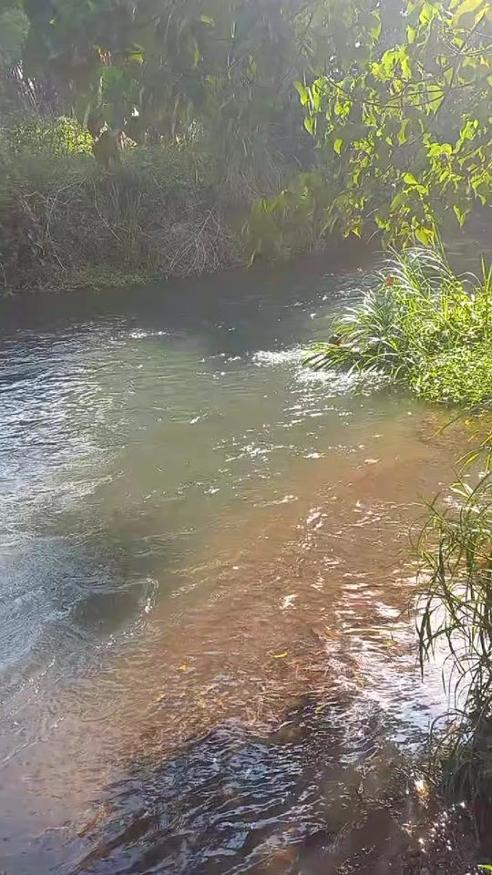 TikTok video thumbnail by bosstigang