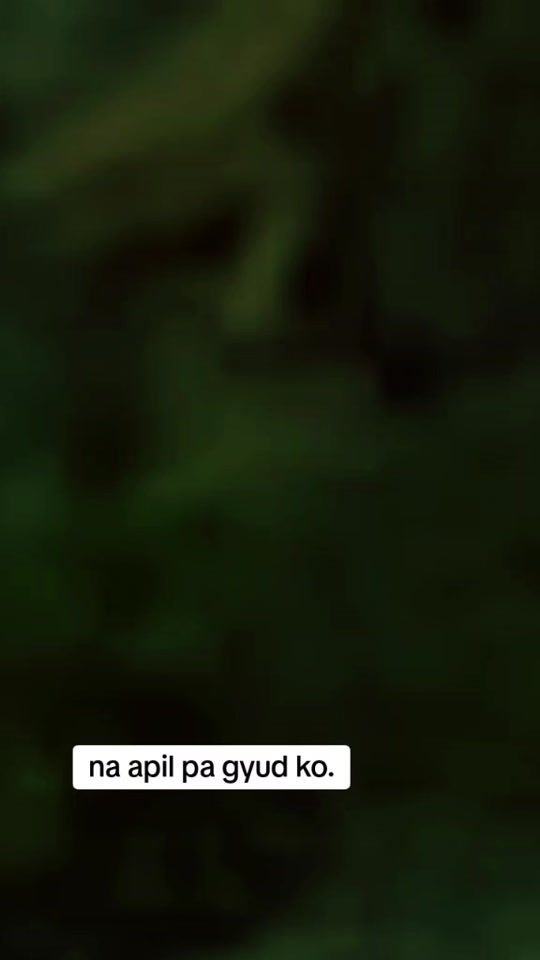 TikTok video thumbnail by seriouslangga