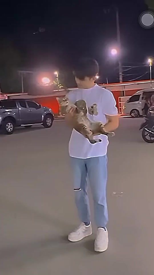 TikTok video thumbnail by ants_2555