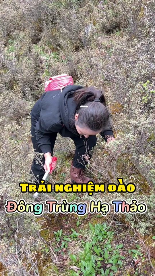 TikTok video thumbnail by kieutravel