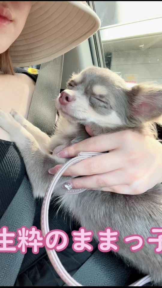 TikTok video thumbnail by el_isabellatan