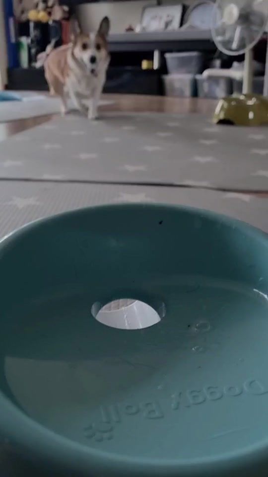 TikTok video thumbnail by ha_mongni