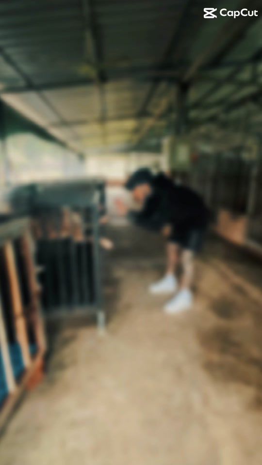 TikTok video thumbnail by thantzinwinkl