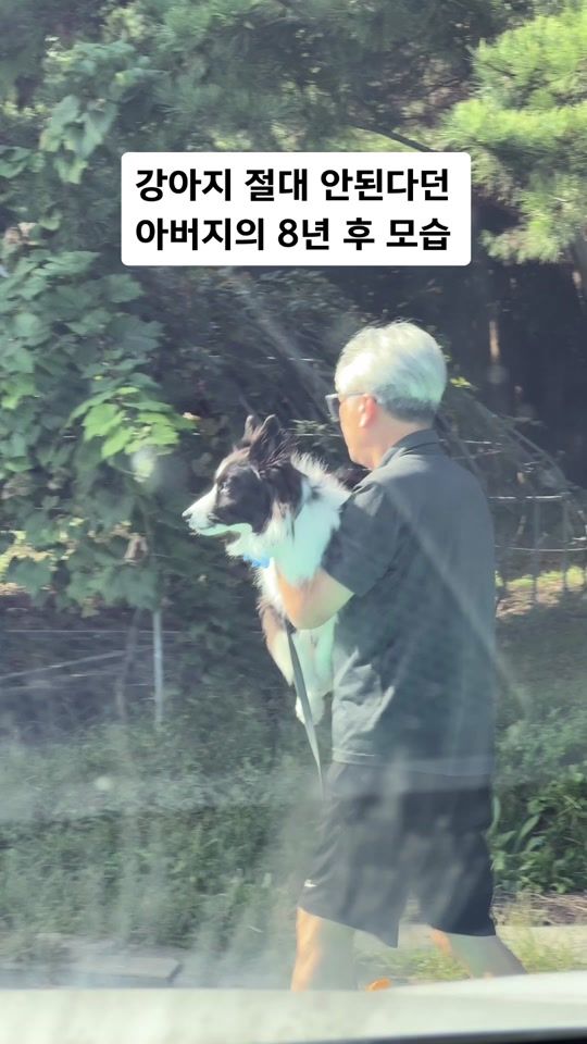 TikTok video thumbnail by happyvoriday
