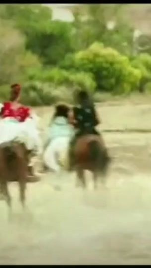 TikTok video thumbnail by films.with.horses