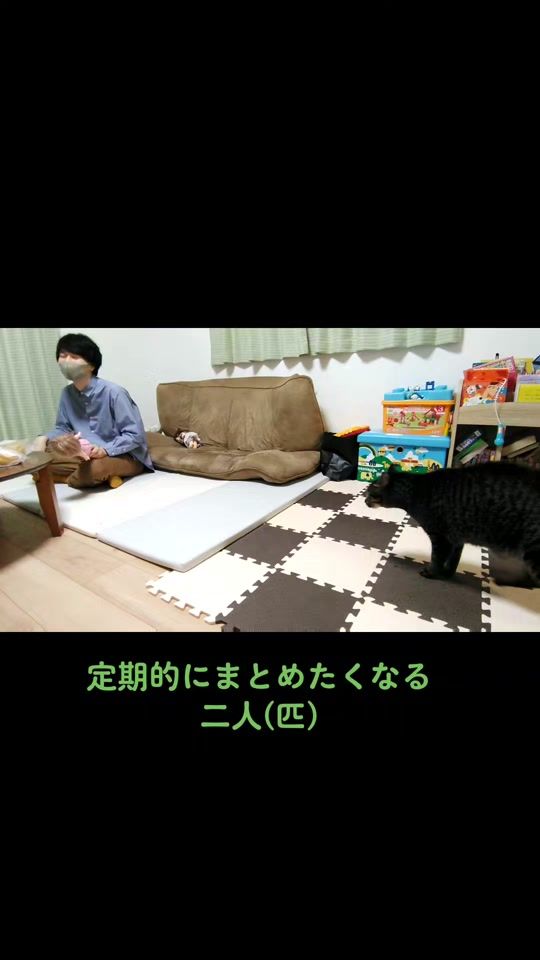TikTok video thumbnail by shinbe_cat