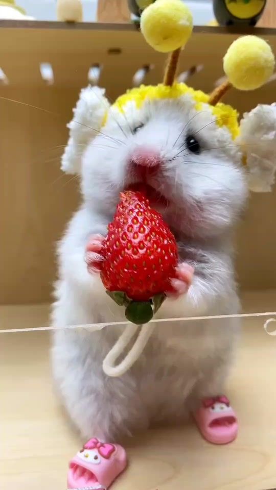 TikTok video thumbnail by jb_jonayd