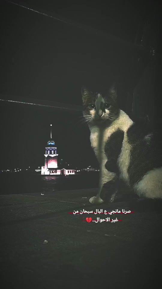 TikTok video thumbnail by almtym.6
