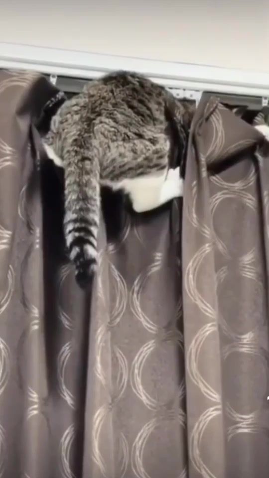 TikTok video thumbnail by mila190119