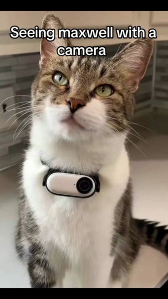 TikTok video thumbnail by shah_963_