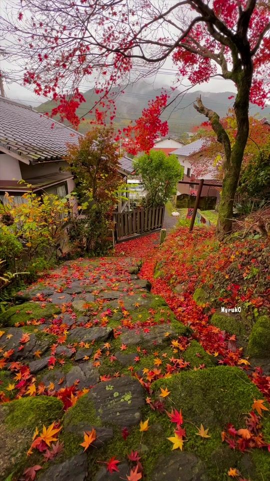 TikTok video thumbnail by myruk0