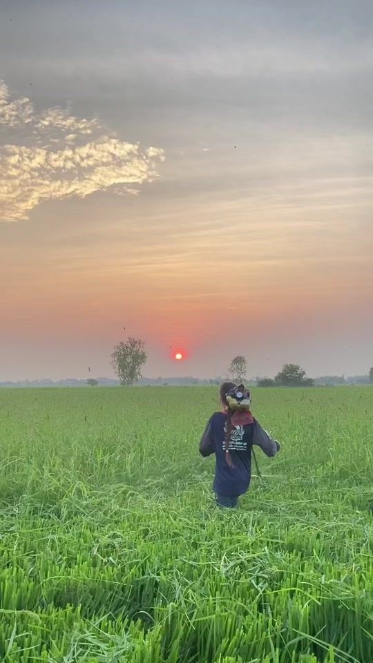 TikTok video thumbnail by salapao1464