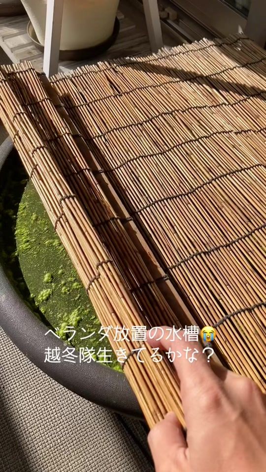TikTok video thumbnail by gasagasaman