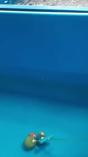 TikTok video thumbnail by ekachai07