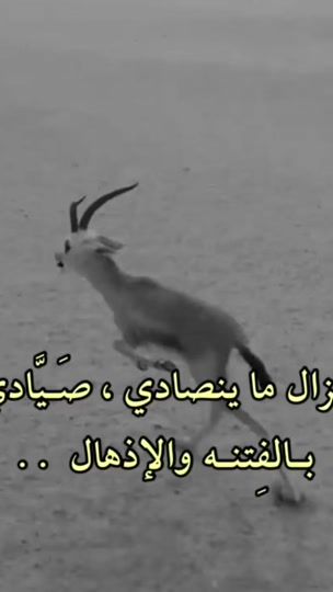 TikTok video thumbnail by q5ht