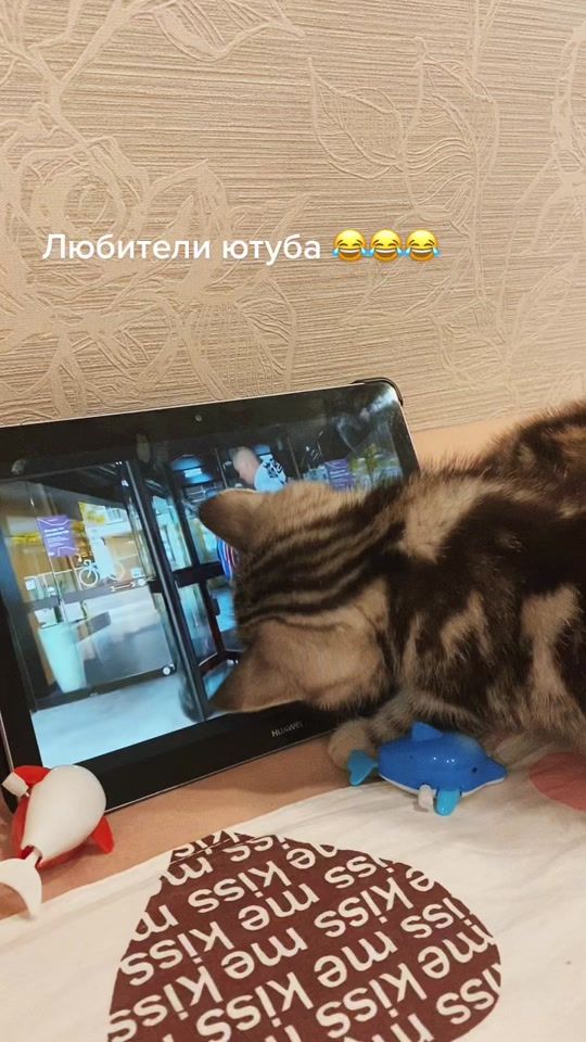 TikTok video thumbnail by lesenok2603