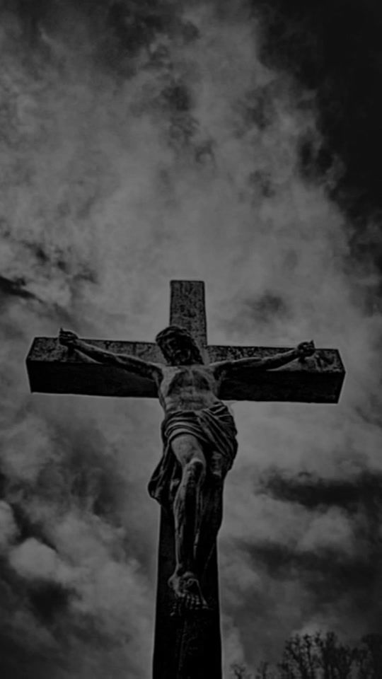 TikTok video thumbnail by myfvrtprs