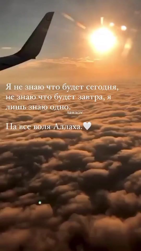 TikTok video thumbnail by user625206195