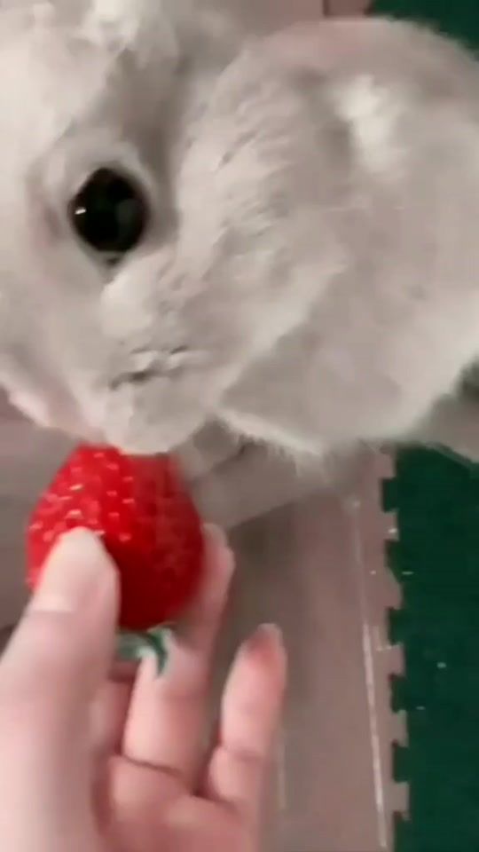 TikTok video thumbnail by nachinochka