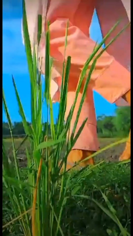 TikTok video thumbnail by ontorajahan58