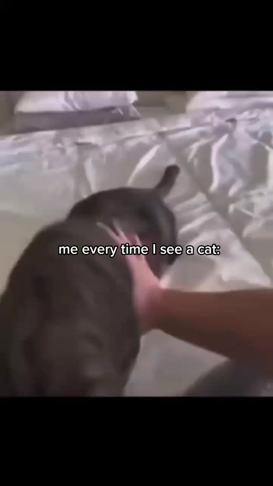TikTok video thumbnail by meowlubv_