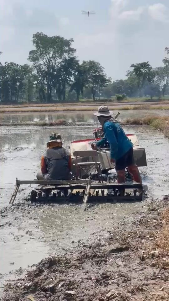 TikTok video thumbnail by anuwatradchasang