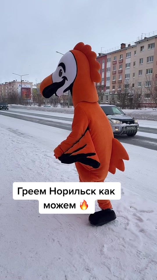 TikTok video thumbnail by dodonorilsk